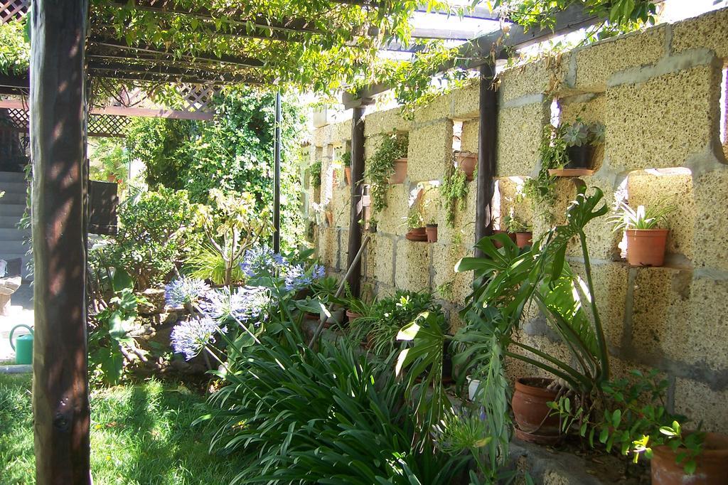 גרנדילה דה אבונה Casa Rural Anton Piche With Pool-Adults Only מראה חיצוני תמונה