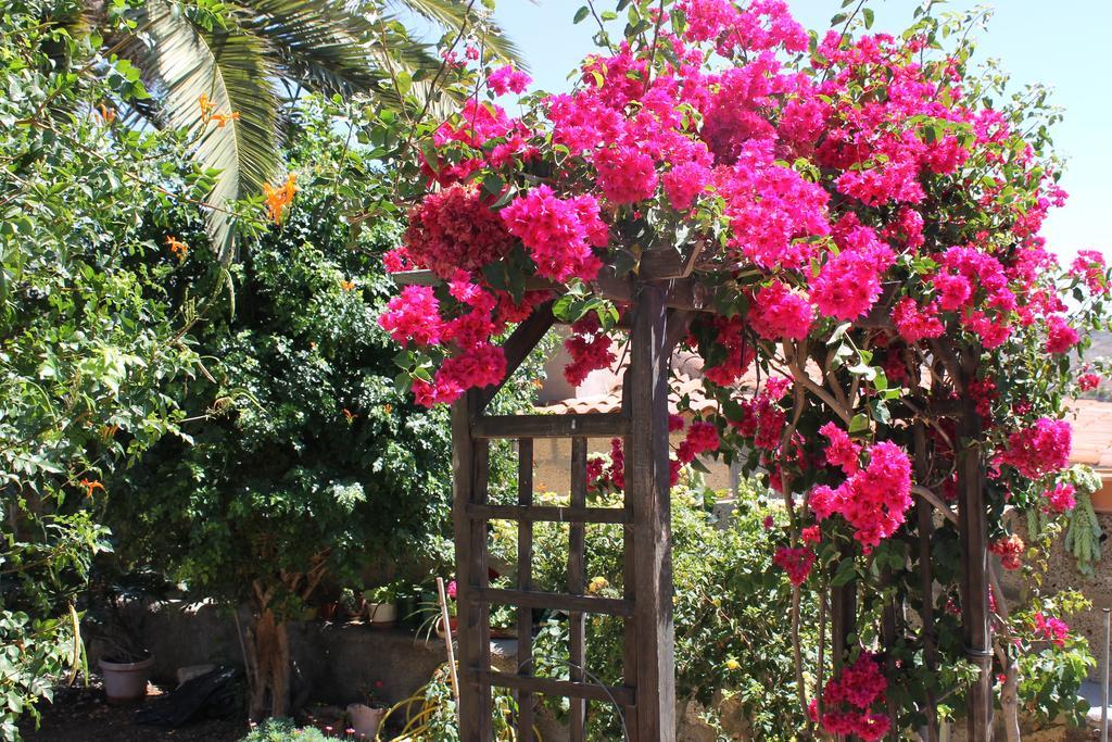 גרנדילה דה אבונה Casa Rural Anton Piche With Pool-Adults Only מראה חיצוני תמונה