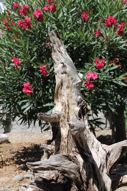 גרנדילה דה אבונה Casa Rural Anton Piche With Pool-Adults Only מראה חיצוני תמונה