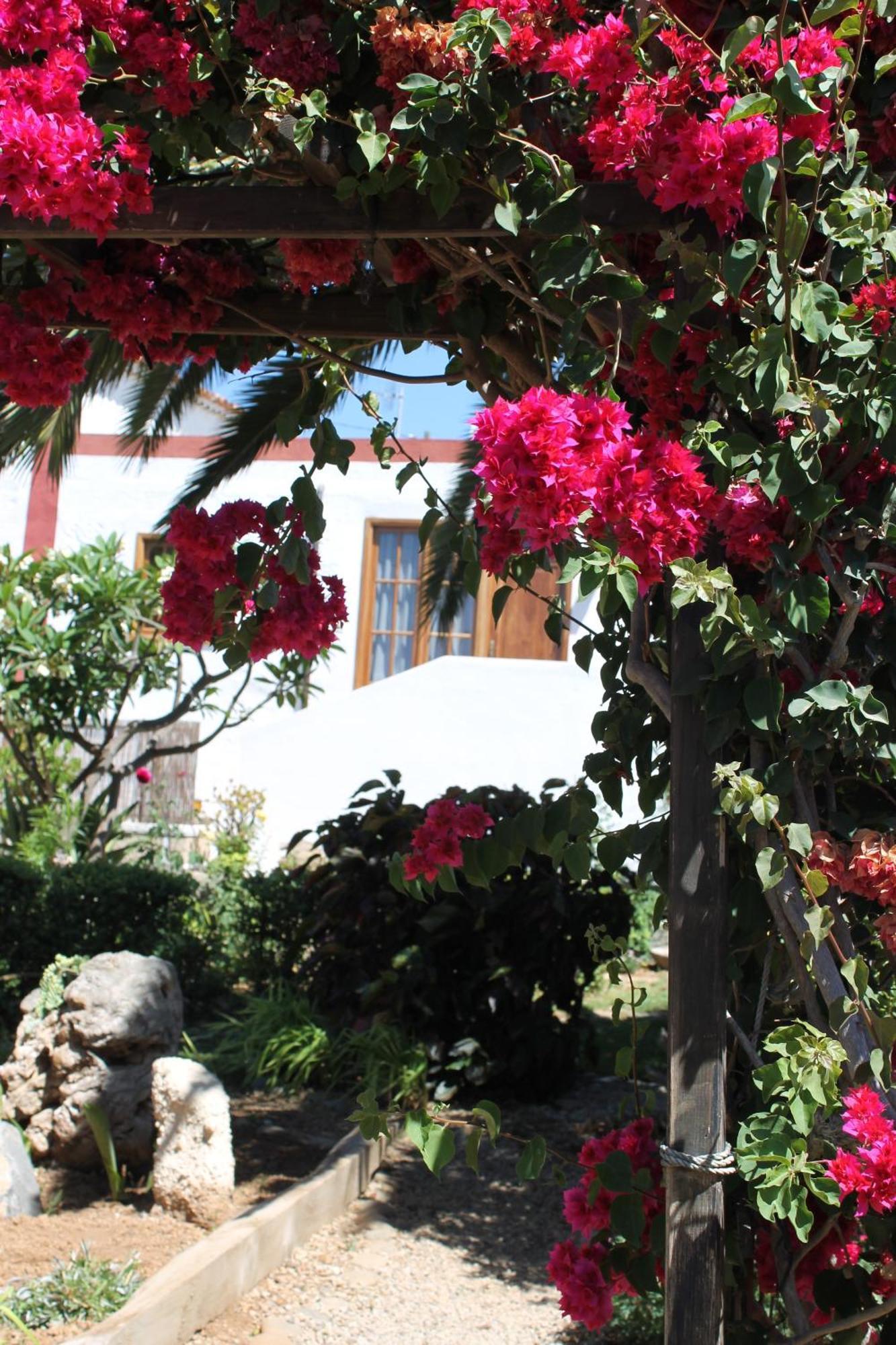 גרנדילה דה אבונה Casa Rural Anton Piche With Pool-Adults Only מראה חיצוני תמונה