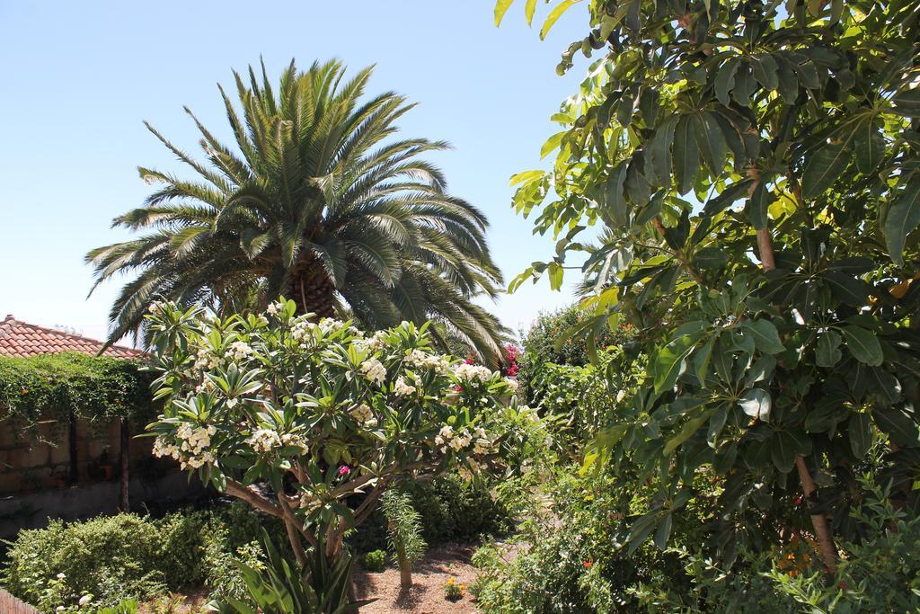 גרנדילה דה אבונה Casa Rural Anton Piche With Pool-Adults Only מראה חיצוני תמונה