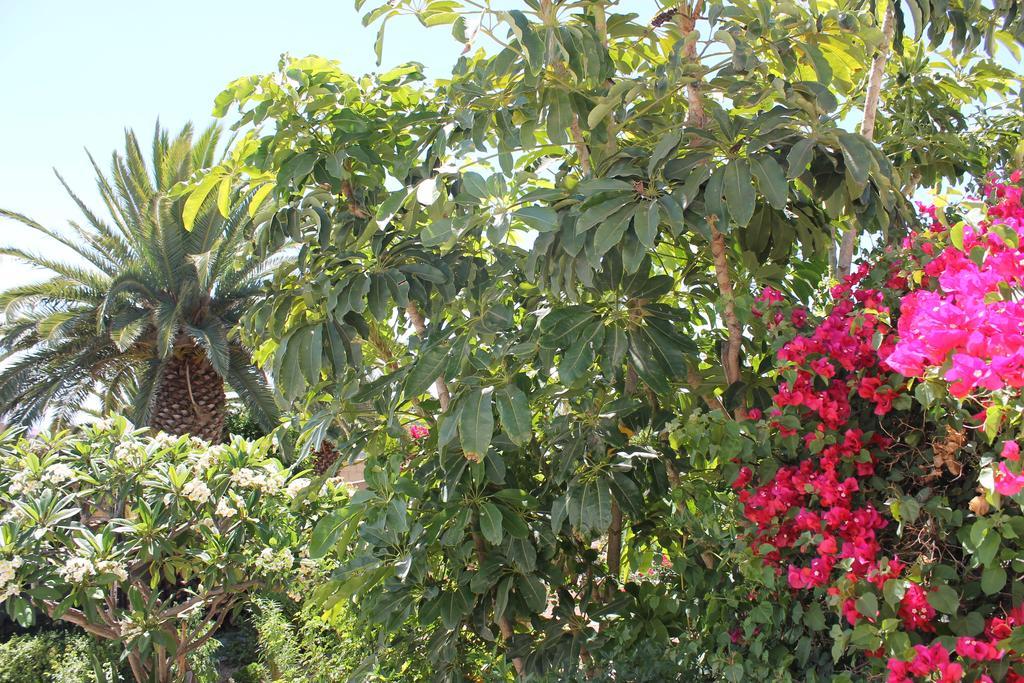 גרנדילה דה אבונה Casa Rural Anton Piche With Pool-Adults Only מראה חיצוני תמונה