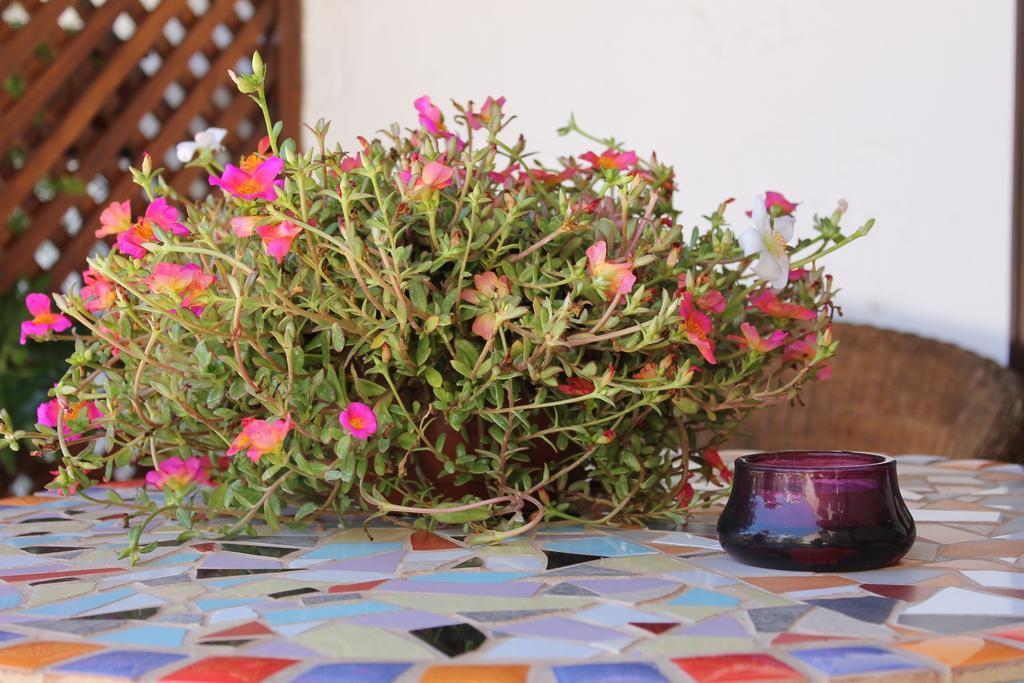 גרנדילה דה אבונה Casa Rural Anton Piche With Pool-Adults Only מראה חיצוני תמונה