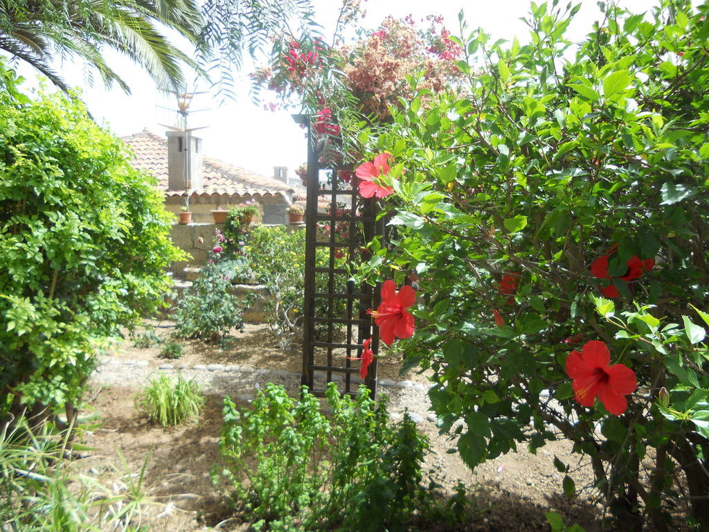 גרנדילה דה אבונה Casa Rural Anton Piche With Pool-Adults Only מראה חיצוני תמונה