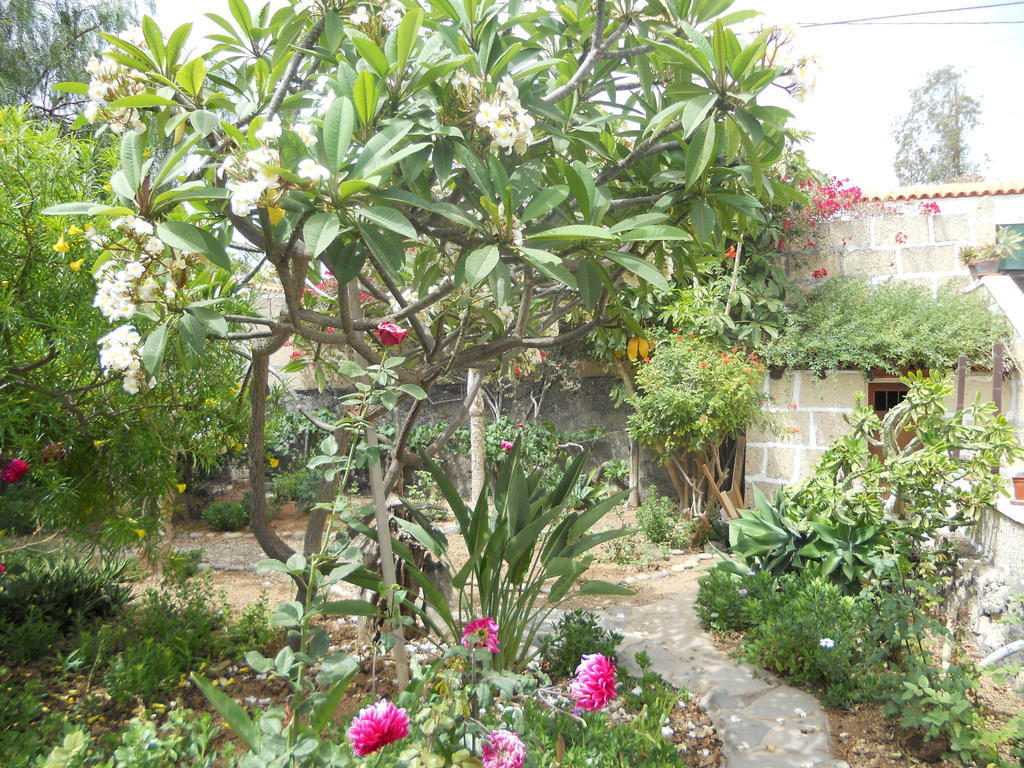 גרנדילה דה אבונה Casa Rural Anton Piche With Pool-Adults Only מראה חיצוני תמונה