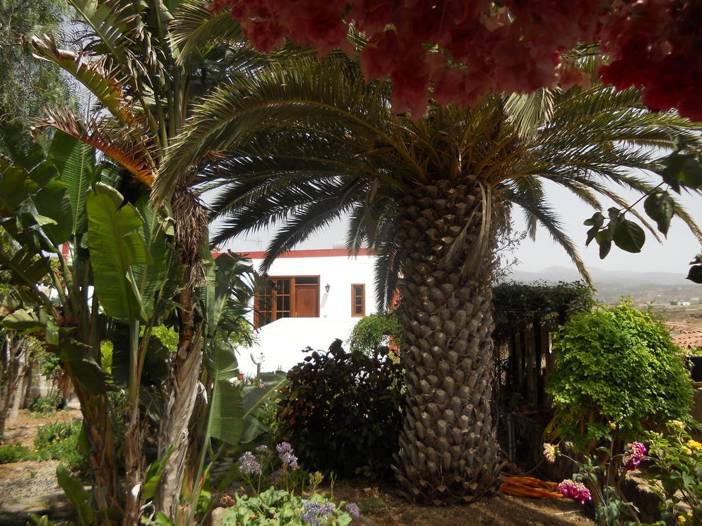 גרנדילה דה אבונה Casa Rural Anton Piche With Pool-Adults Only מראה חיצוני תמונה